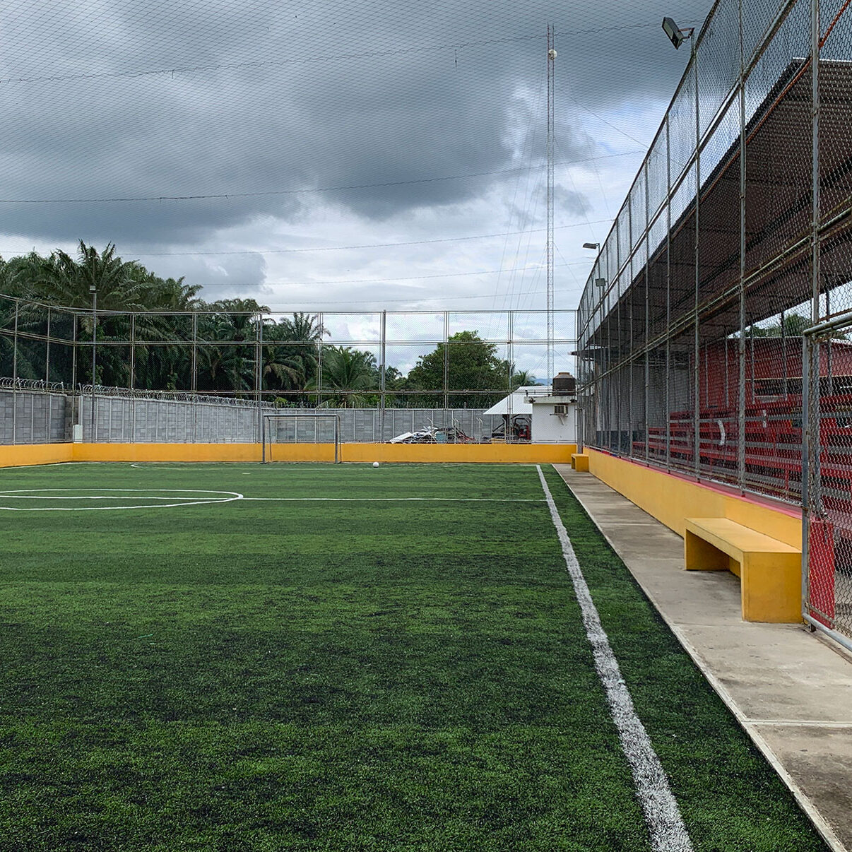 Cancah sintetica Solicob