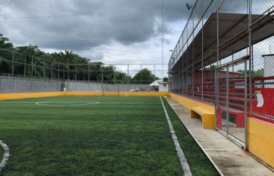 Cancah sintetica Solicob